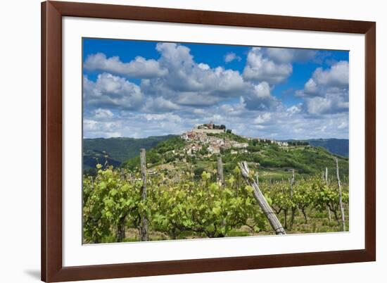 Vineyards, Motovun, Istria, Croatia-Katja Kreder-Framed Photographic Print