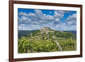 Vineyards, Motovun, Istria, Croatia-Katja Kreder-Framed Photographic Print