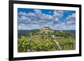 Vineyards, Motovun, Istria, Croatia-Katja Kreder-Framed Photographic Print