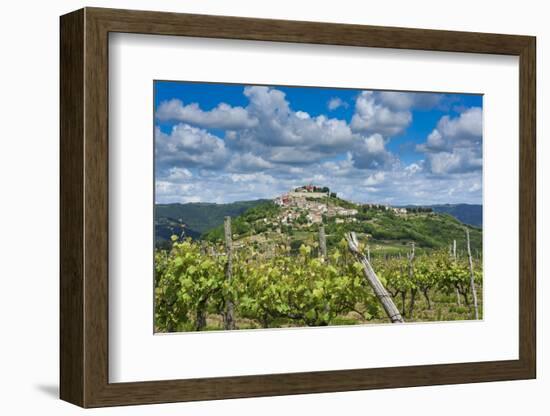 Vineyards, Motovun, Istria, Croatia-Katja Kreder-Framed Photographic Print