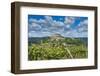 Vineyards, Motovun, Istria, Croatia-Katja Kreder-Framed Photographic Print