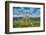 Vineyards, Motovun, Istria, Croatia-Katja Kreder-Framed Photographic Print