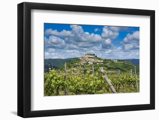 Vineyards, Motovun, Istria, Croatia-Katja Kreder-Framed Photographic Print