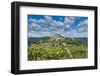 Vineyards, Motovun, Istria, Croatia-Katja Kreder-Framed Photographic Print