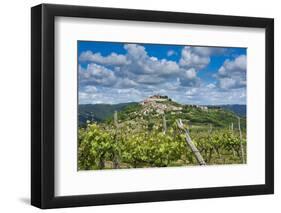 Vineyards, Motovun, Istria, Croatia-Katja Kreder-Framed Photographic Print