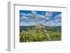 Vineyards, Motovun, Istria, Croatia-Katja Kreder-Framed Photographic Print