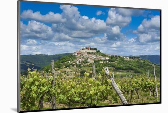 Vineyards, Motovun, Istria, Croatia-Katja Kreder-Mounted Photographic Print