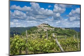 Vineyards, Motovun, Istria, Croatia-Katja Kreder-Mounted Photographic Print