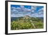 Vineyards, Motovun, Istria, Croatia-Katja Kreder-Framed Photographic Print