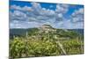 Vineyards, Motovun, Istria, Croatia-Katja Kreder-Mounted Photographic Print