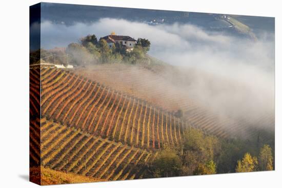 Vineyards, Near Alba, Langhe, Piedmont, Italy-Peter Adams-Stretched Canvas