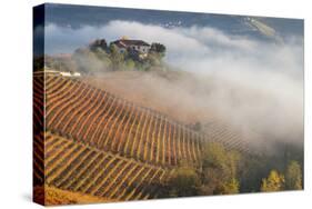 Vineyards, Near Alba, Langhe, Piedmont, Italy-Peter Adams-Stretched Canvas