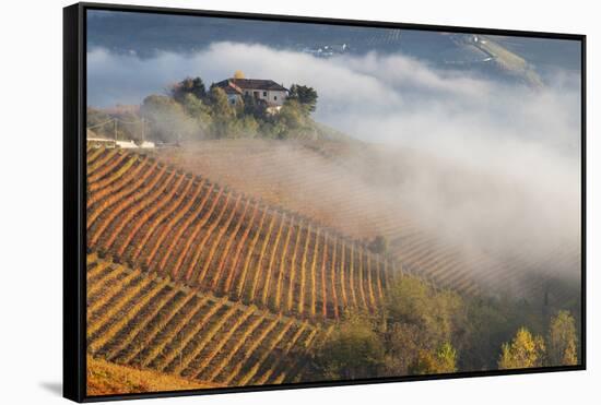 Vineyards, Near Alba, Langhe, Piedmont, Italy-Peter Adams-Framed Stretched Canvas