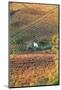 Vineyards, Near Alba, Langhe, Piedmont, Italy-Peter Adams-Mounted Photographic Print