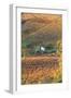 Vineyards, Near Alba, Langhe, Piedmont, Italy-Peter Adams-Framed Photographic Print