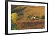 Vineyards, Near Alba, Langhe, Piedmont, Italy-Peter Adams-Framed Photographic Print