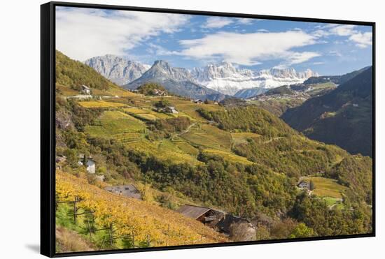 Vineyards Near Bolzano, Trentino-Alto Adige, Suedtirol, Italy-Peter Adams-Framed Stretched Canvas