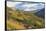 Vineyards Near Bolzano, Trentino-Alto Adige, Suedtirol, Italy-Peter Adams-Framed Stretched Canvas