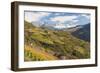 Vineyards Near Bolzano, Trentino-Alto Adige, Suedtirol, Italy-Peter Adams-Framed Photographic Print