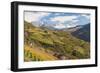 Vineyards Near Bolzano, Trentino-Alto Adige, Suedtirol, Italy-Peter Adams-Framed Photographic Print