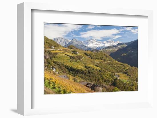 Vineyards Near Bolzano, Trentino-Alto Adige, Suedtirol, Italy-Peter Adams-Framed Photographic Print