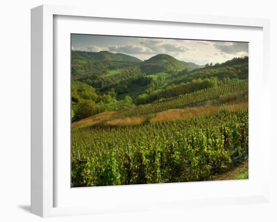 Vineyards Near Cerdon, Bugey, Ain, Rhone Alpes, France, Europe-Michael Busselle-Framed Photographic Print