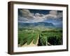 Vineyards Near Chambery, Savoie, Rhone Alpes, France-Michael Busselle-Framed Photographic Print