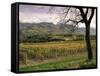 Vineyards Near Chambery, Savoie, Rhone Alpes, France-Michael Busselle-Framed Stretched Canvas