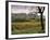 Vineyards Near Chambery, Savoie, Rhone Alpes, France-Michael Busselle-Framed Photographic Print