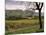 Vineyards Near Chambery, Savoie, Rhone Alpes, France-Michael Busselle-Mounted Photographic Print