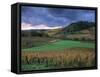 Vineyards Near Chateau Chalon, Jura, Franche Comte, France-Michael Busselle-Framed Stretched Canvas