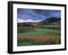 Vineyards Near Chateau Chalon, Jura, Franche Comte, France-Michael Busselle-Framed Photographic Print