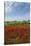 Vineyards near Ettore E Infersa Salt Works Area-Guido Cozzi-Stretched Canvas