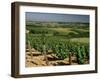 Vineyards Near Irancy, Burgundy, France-Michael Busselle-Framed Photographic Print