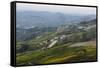 Vineyards Near La Morra, Langhe, Cuneo District, Piedmont, Italy, Europe-Yadid Levy-Framed Stretched Canvas