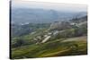 Vineyards Near La Morra, Langhe, Cuneo District, Piedmont, Italy, Europe-Yadid Levy-Stretched Canvas