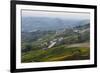 Vineyards Near La Morra, Langhe, Cuneo District, Piedmont, Italy, Europe-Yadid Levy-Framed Photographic Print