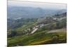 Vineyards Near La Morra, Langhe, Cuneo District, Piedmont, Italy, Europe-Yadid Levy-Mounted Photographic Print