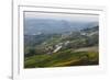Vineyards Near La Morra, Langhe, Cuneo District, Piedmont, Italy, Europe-Yadid Levy-Framed Photographic Print