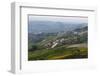 Vineyards Near La Morra, Langhe, Cuneo District, Piedmont, Italy, Europe-Yadid Levy-Framed Photographic Print