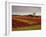 Vineyards Near Loches, Indre Et Loire, Touraine, Loire Valley, France, Europe-David Hughes-Framed Photographic Print