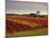 Vineyards Near Loches, Indre Et Loire, Touraine, Loire Valley, France, Europe-David Hughes-Mounted Photographic Print