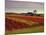 Vineyards Near Loches, Indre Et Loire, Touraine, Loire Valley, France, Europe-David Hughes-Mounted Photographic Print