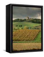 Vineyards Near Lons Le Saunier, Jura, Rhone Alpes, France-Michael Busselle-Framed Stretched Canvas