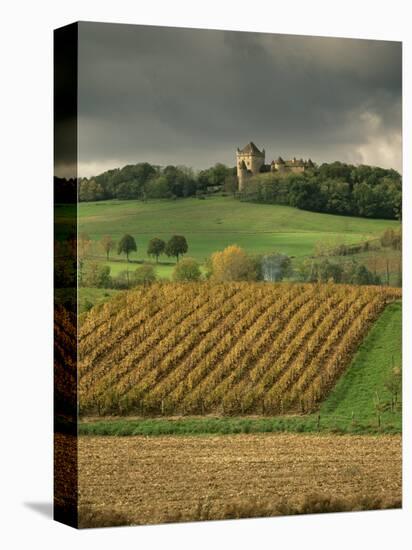 Vineyards Near Lons Le Saunier, Jura, Rhone Alpes, France-Michael Busselle-Stretched Canvas