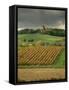 Vineyards Near Lons Le Saunier, Jura, Rhone Alpes, France-Michael Busselle-Framed Stretched Canvas