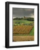 Vineyards Near Lons Le Saunier, Jura, Rhone Alpes, France-Michael Busselle-Framed Photographic Print