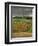 Vineyards Near Lons Le Saunier, Jura, Rhone Alpes, France-Michael Busselle-Framed Photographic Print