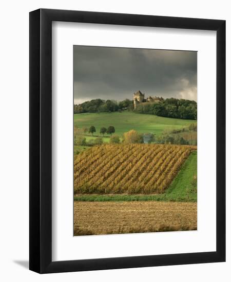 Vineyards Near Lons Le Saunier, Jura, Rhone Alpes, France-Michael Busselle-Framed Photographic Print