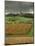 Vineyards Near Lons Le Saunier, Jura, Rhone Alpes, France-Michael Busselle-Mounted Photographic Print